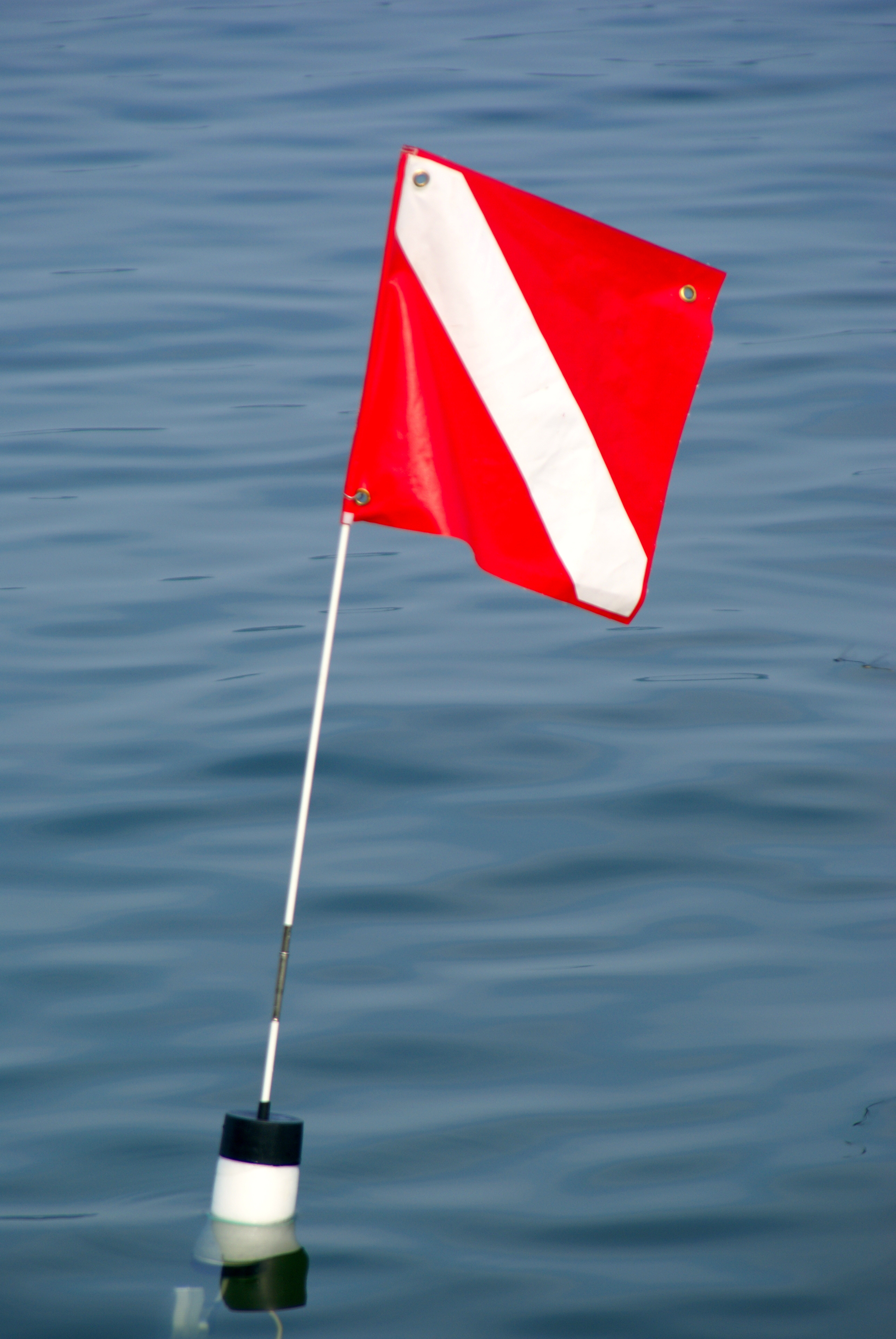 Floating surface marker buoy with attached dive flag used by scuba divers performing search missions