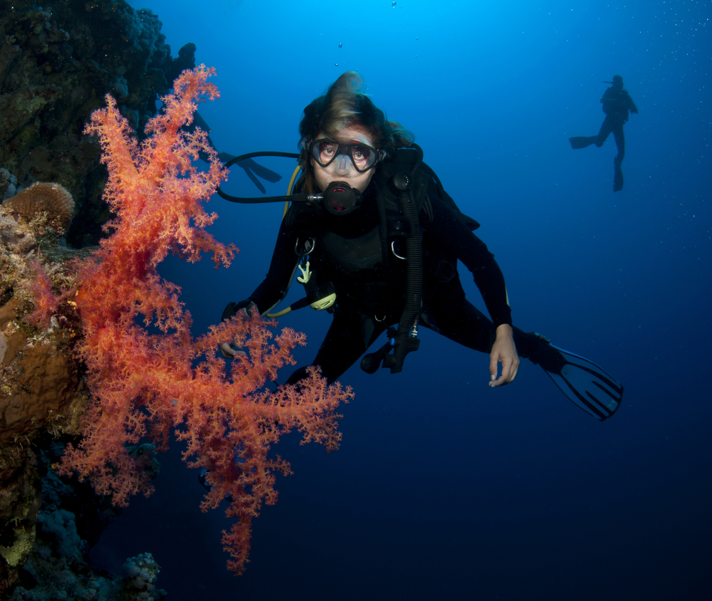 Female diver with breast implants explores soft corals along a wall in the Caribbean Sea