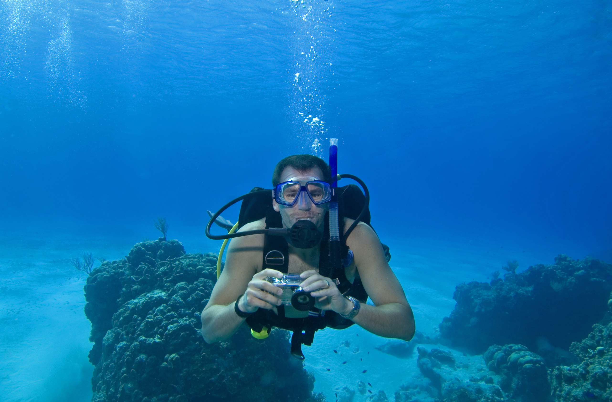 Diver new to underwater photography prepares to take his first photograph of a sea turtle resting on a rocky outcropping
