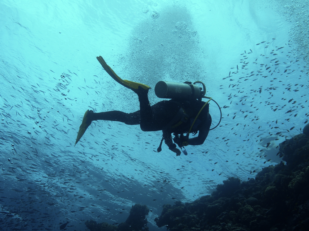 Diver suffering from disorientation prevents a diving accident by remembering to stop, breathe, and think before reacting
