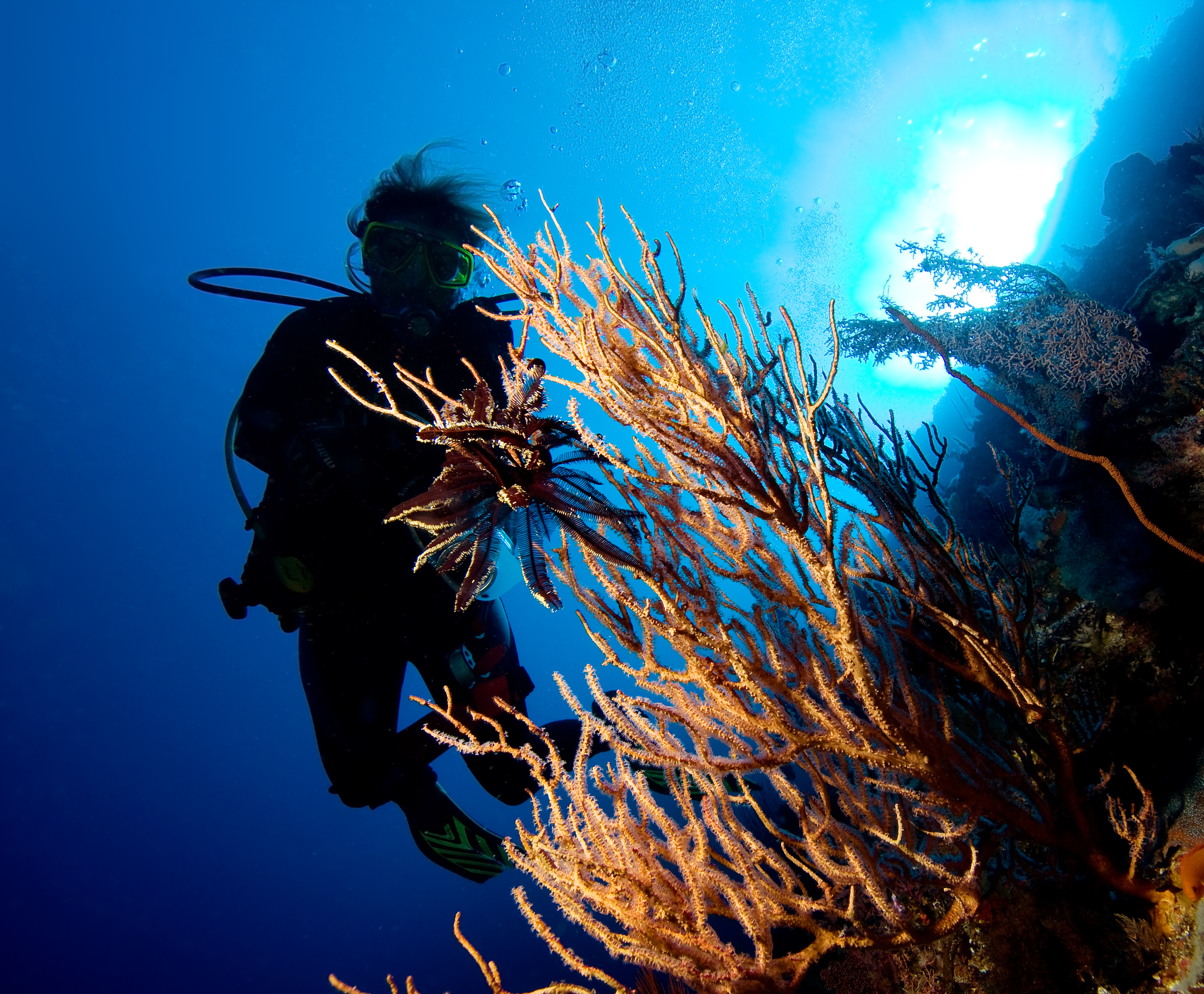 Experienced technical diver practices his solo diving skills while exploring the underwater world