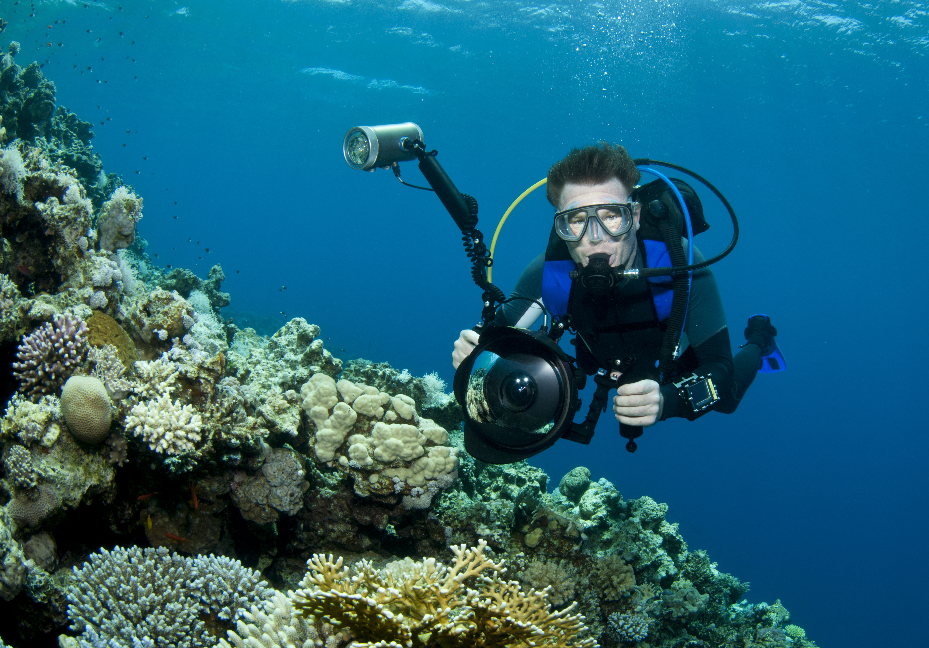 Male underwater photographer makes his way across a coral encrusted wall towards a cleaning station in which he will photograph various marine life