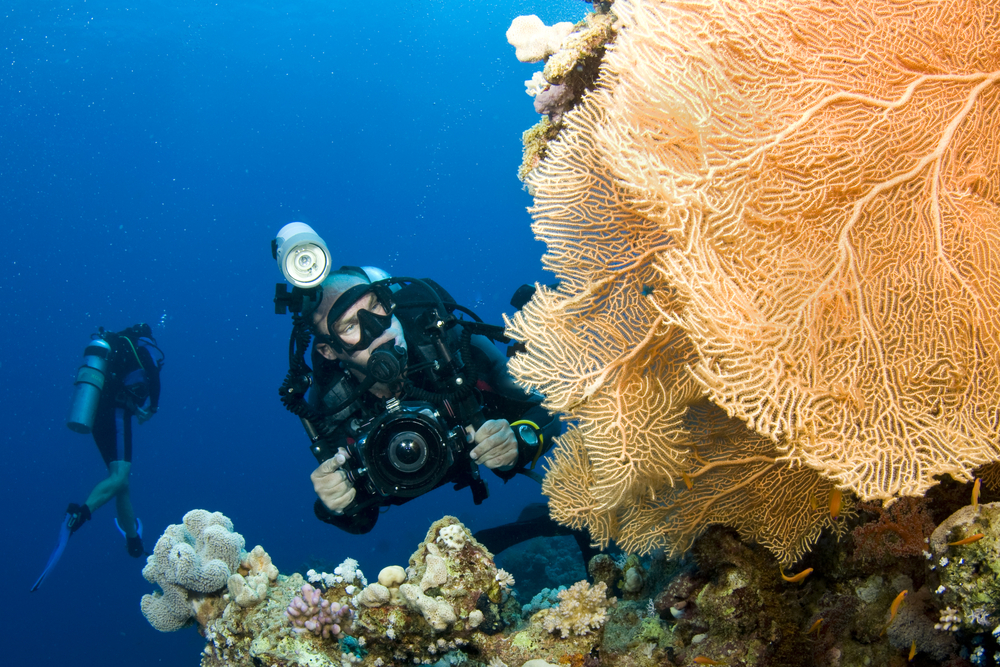 Underwater photographer swims towards his subject ensuring that he gets good color in his photos