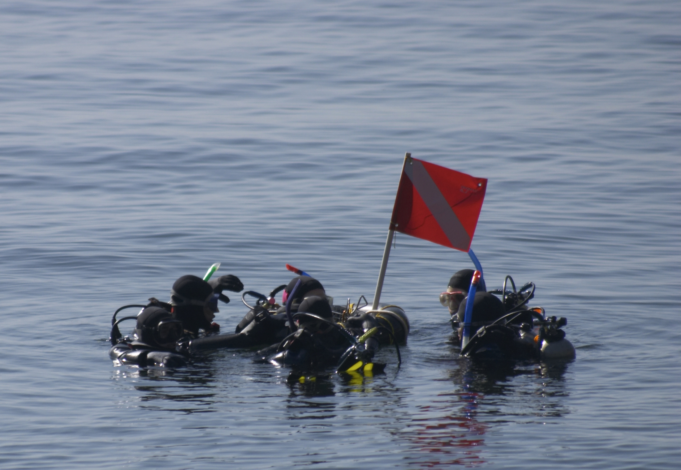 Group of divers setting up their red and white diver down flag prior to commencing their dive