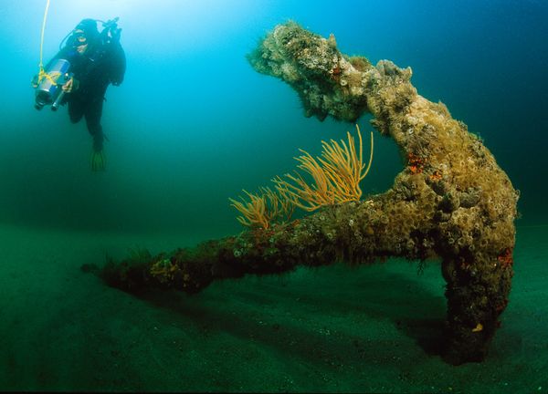The anchor of the Queen Anne's Revenge wreck, Blackbeard's pirate ship