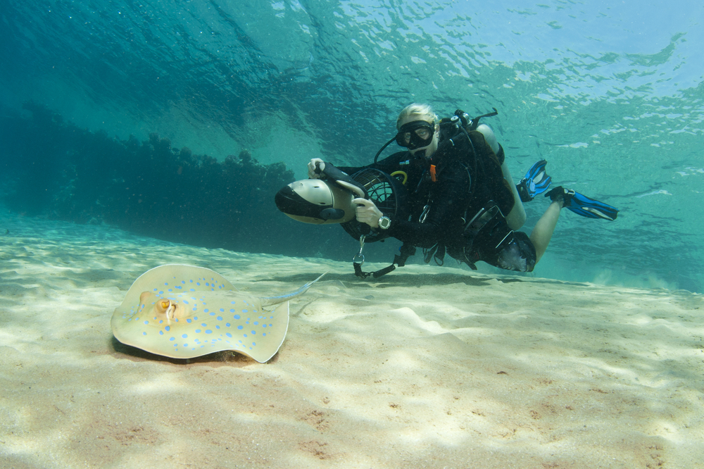Diver using DPV observes blue spotted stingray at the Lighthouse South Face site along Tubbataha Reef in the Philippines