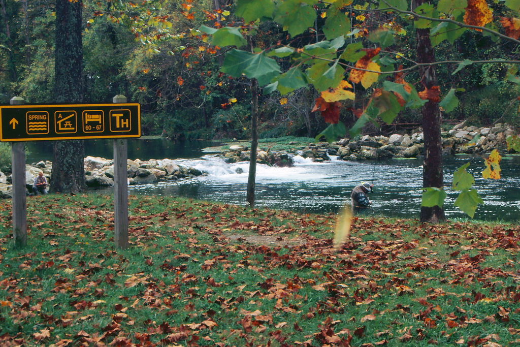 Bennett Spring on a fall day with leaves falling in the foreground and a male fisherman in the lake in the background