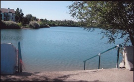 Panoramic view of Bernardine Quinn Pond with several steps leading down to the pond filled with numerous fish and other underwater attractions