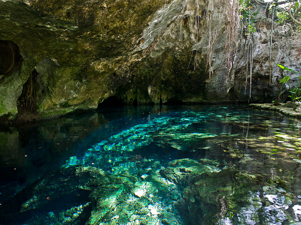 Above and below the waterline, the Gran Cenote in Mexico&#039;s Yucatan Peninsula, provides divers and snorkelers with crystal clear waters and amazing geologic structures