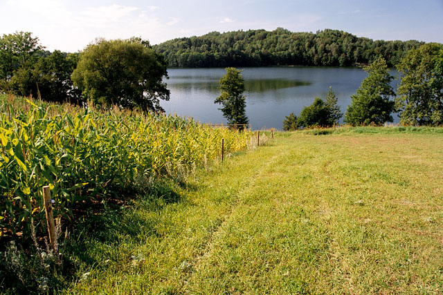Grassy fields provide a path to Poland's Hancza Lake