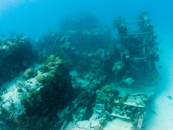 The paddlewheel of the Mary Celestia wreck covered in corals resting on the sandy bottom of Bermuda's south shore