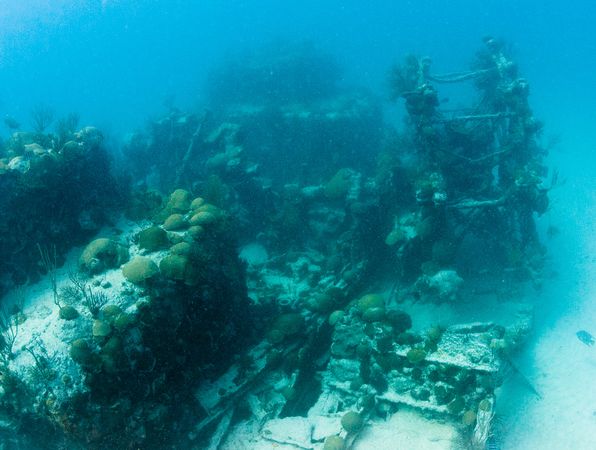 The paddlewheel of the Mary Celestia wreck covered in corals resting on the sandy bottom of Bermuda&#039;s south shore