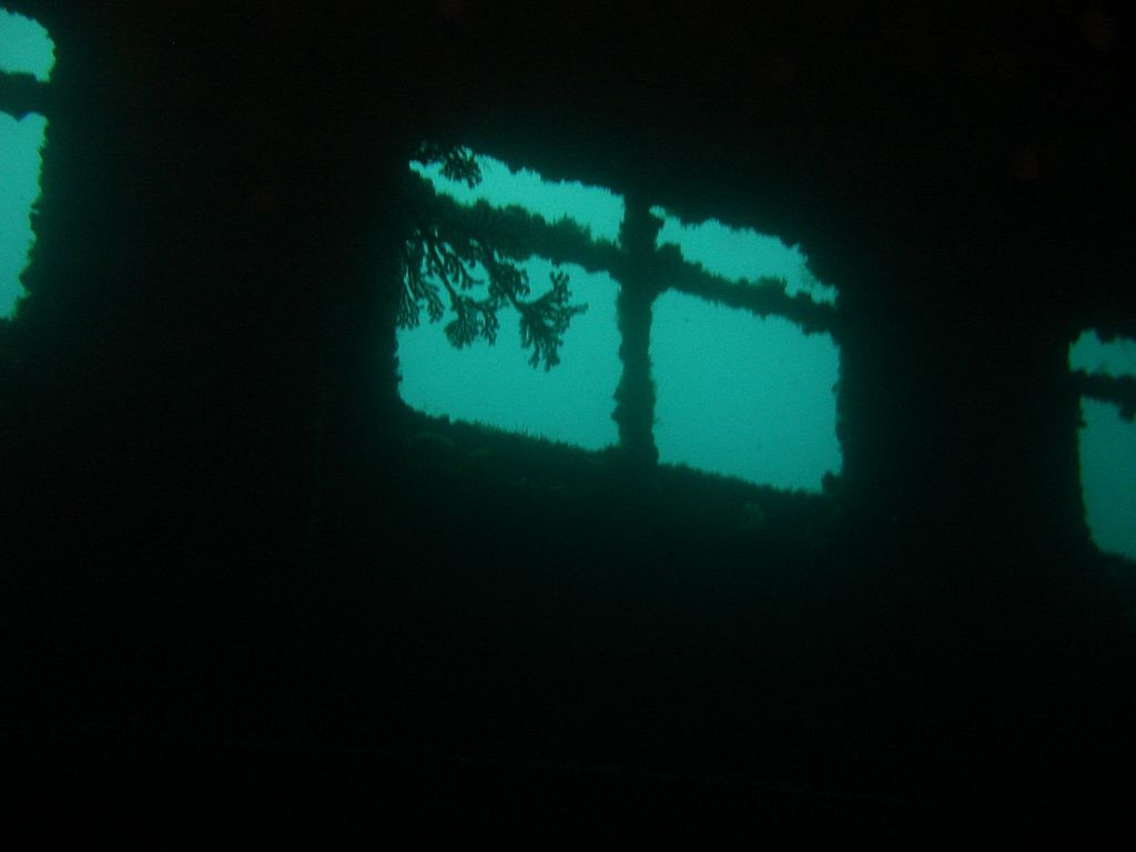 The windows of the Maverick in Tobago provide divers with a view inside the ferry that remains popular spot among the locals and visitors alike
