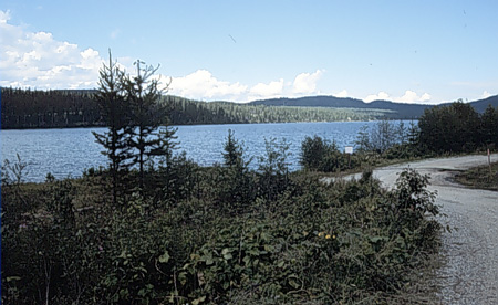 Panoramic view of McGregor Lake surrounded by lush greenery from the Kootenai National Forest in Montana