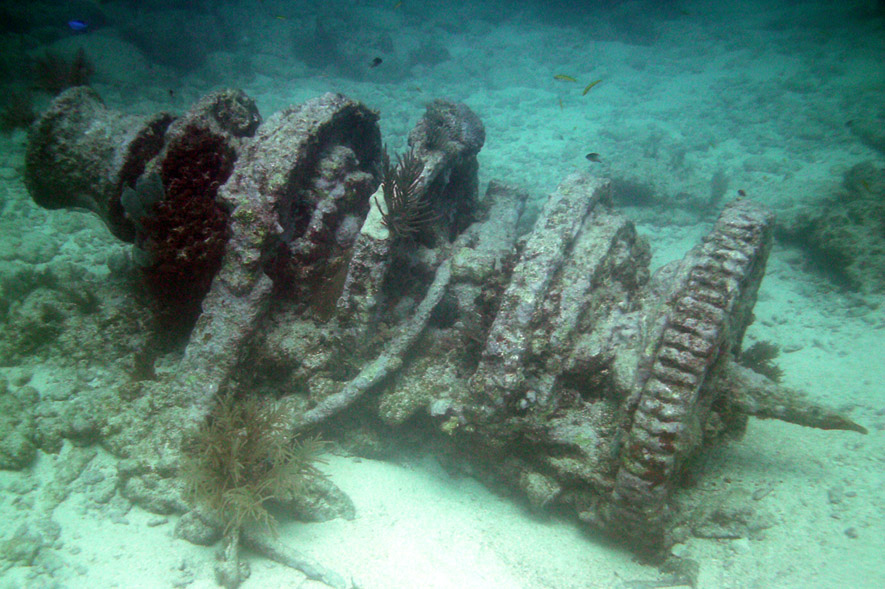 A winch of a wreck found along the sandy bottom at Molasses Reef in Pennekamp Park, located in Key Largo, Florida