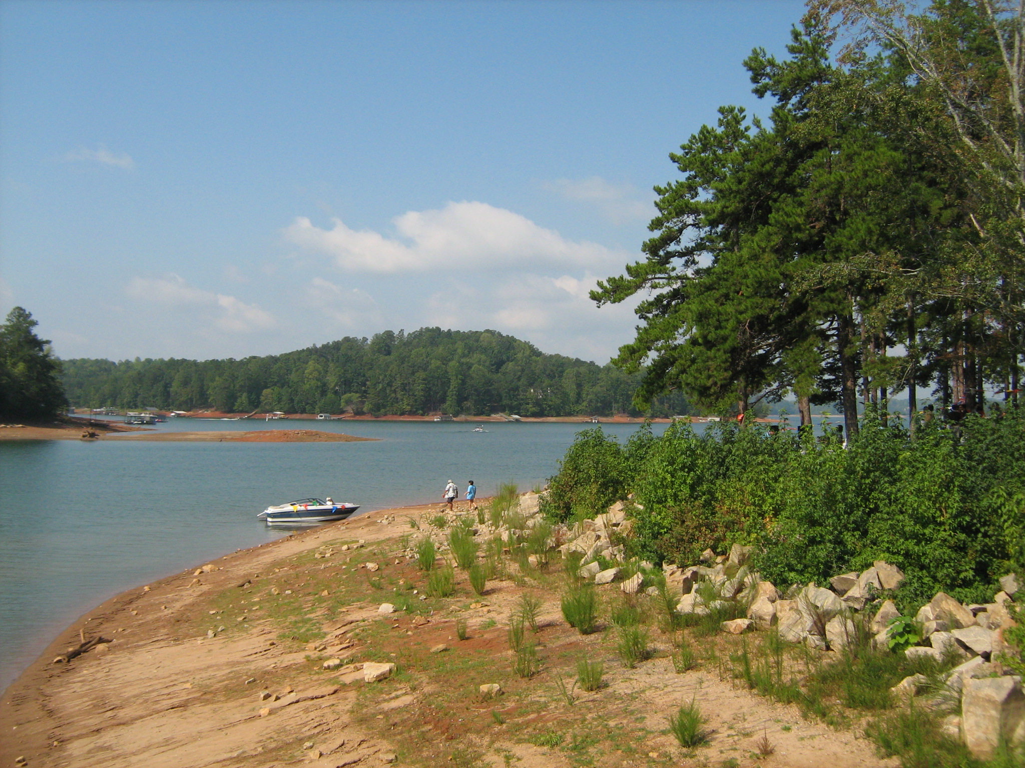 Lush vegetation surround Lake Lanier at Georgia's River Forks Park in Gainesville