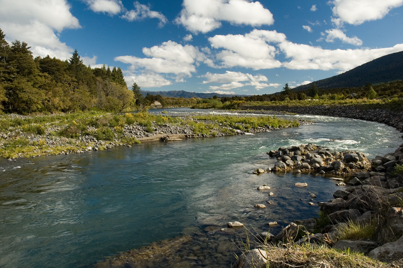 Picturesque view of the Tongariro River surrounded by rocks, big boulders, and lush greenery provide divers with beauty and intrigue above and below the waterline