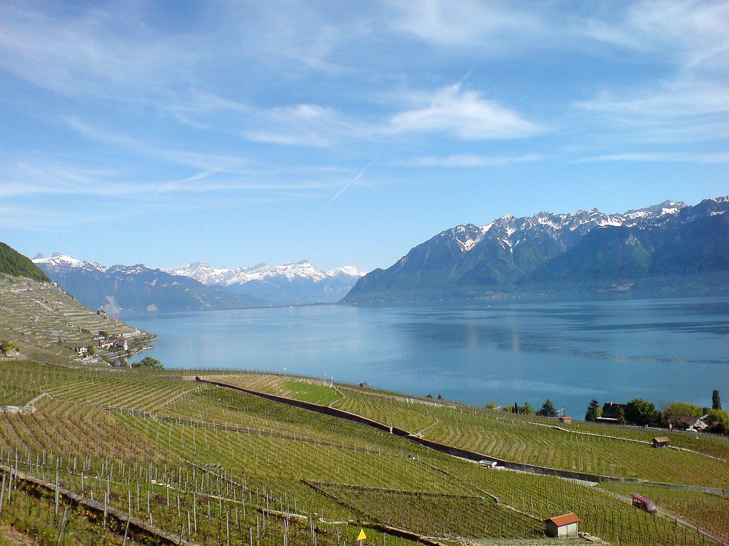 Lavaux Vineyards built into the countryside along Lake Geneva in Switzerland make the perfect diversion from a day of diving
