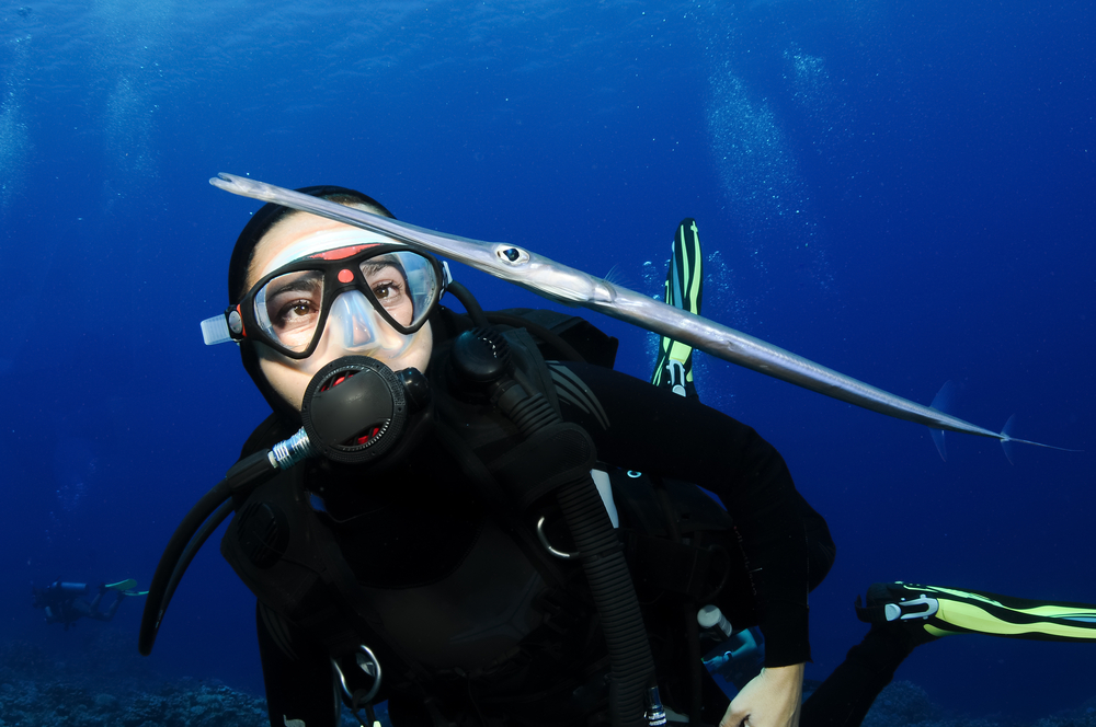 Female diver gets up close with flutefish at Fundu Gap dive site in Tanzania's Pemba