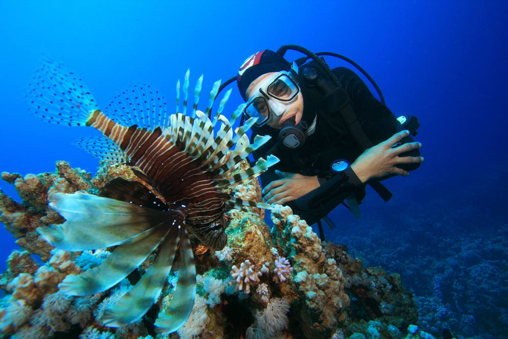 Scuba diver watches lionfish as he moves about the waters surrounding the Globe Star Wreck in Mombasa, Kenya