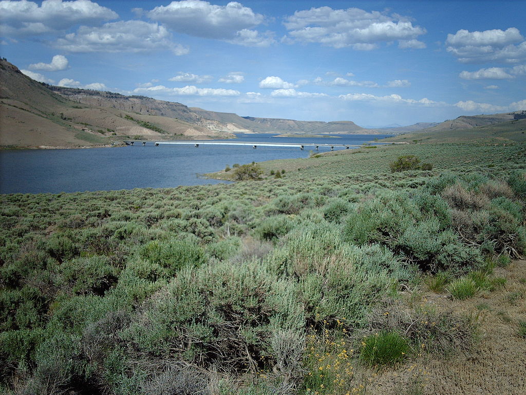 Panoramic view of the Blue Mesa Reservoir in Colorado surrounded by hilly terrain covered in lush greenery